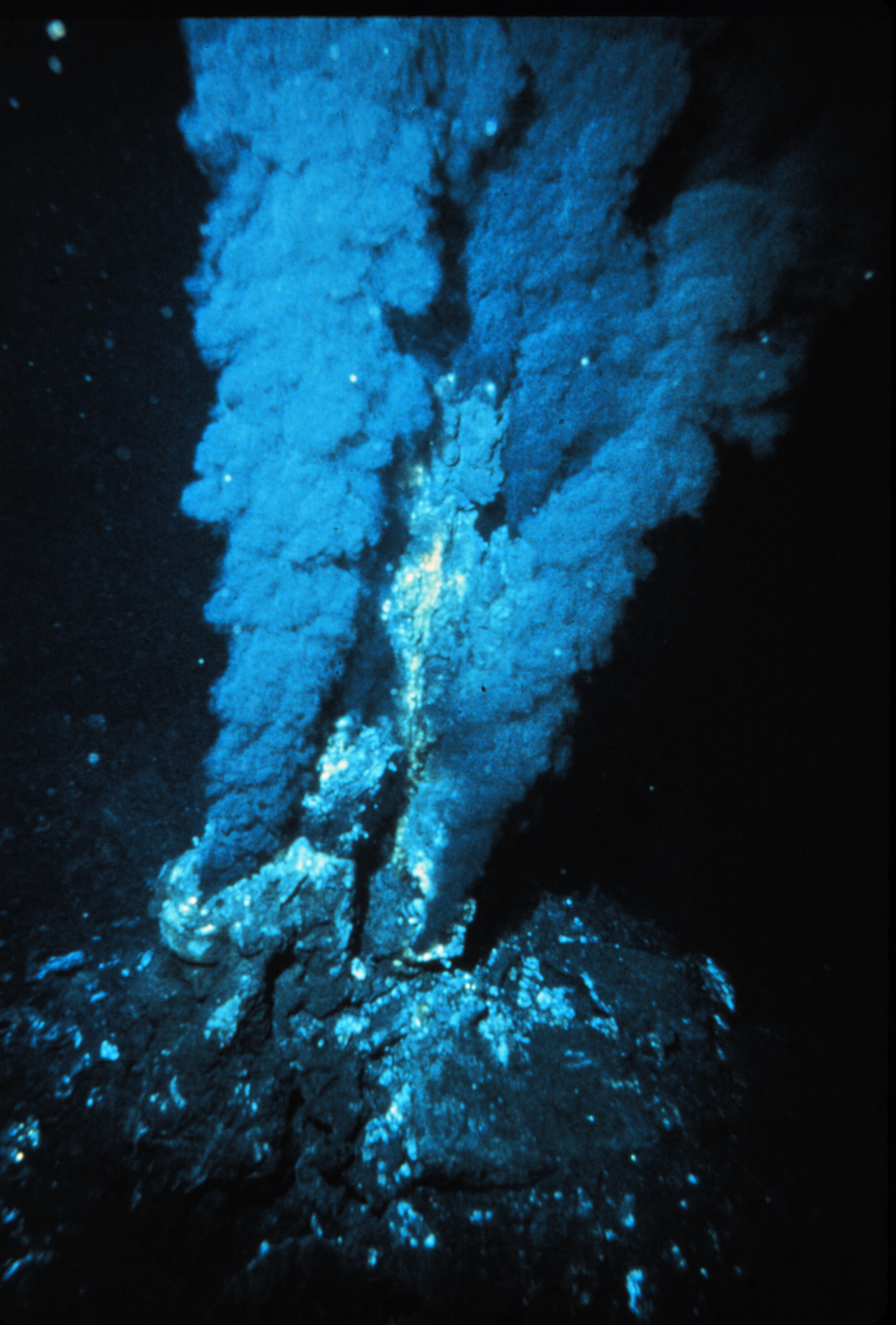 Deep sea vent